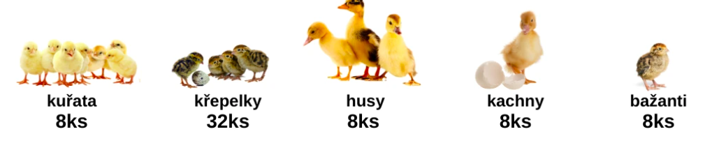 Snímka obrazovky 2024-09-24 o 17.06.28